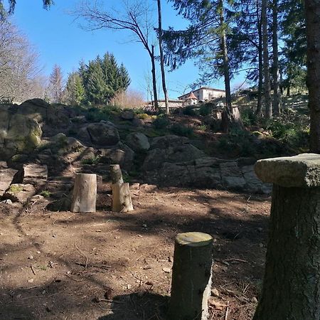 La Fortance Paradis Naturel - Proche De La Ville Planfoy Kültér fotó