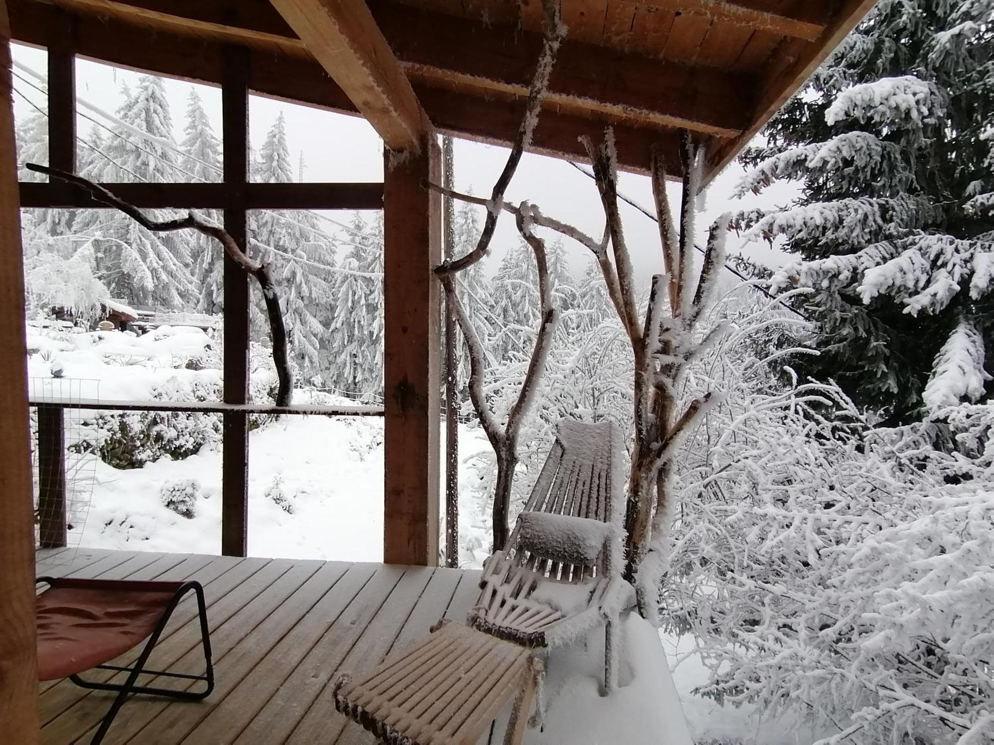 La Fortance Paradis Naturel - Proche De La Ville Planfoy Kültér fotó