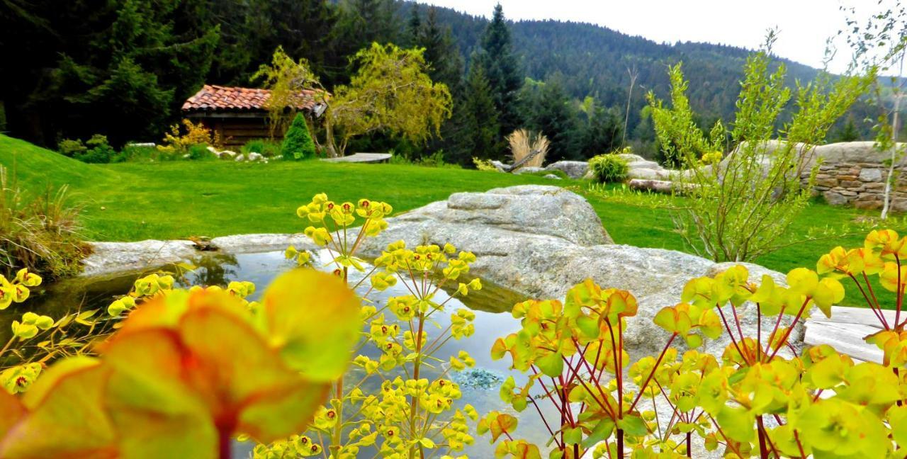La Fortance Paradis Naturel - Proche De La Ville Planfoy Kültér fotó