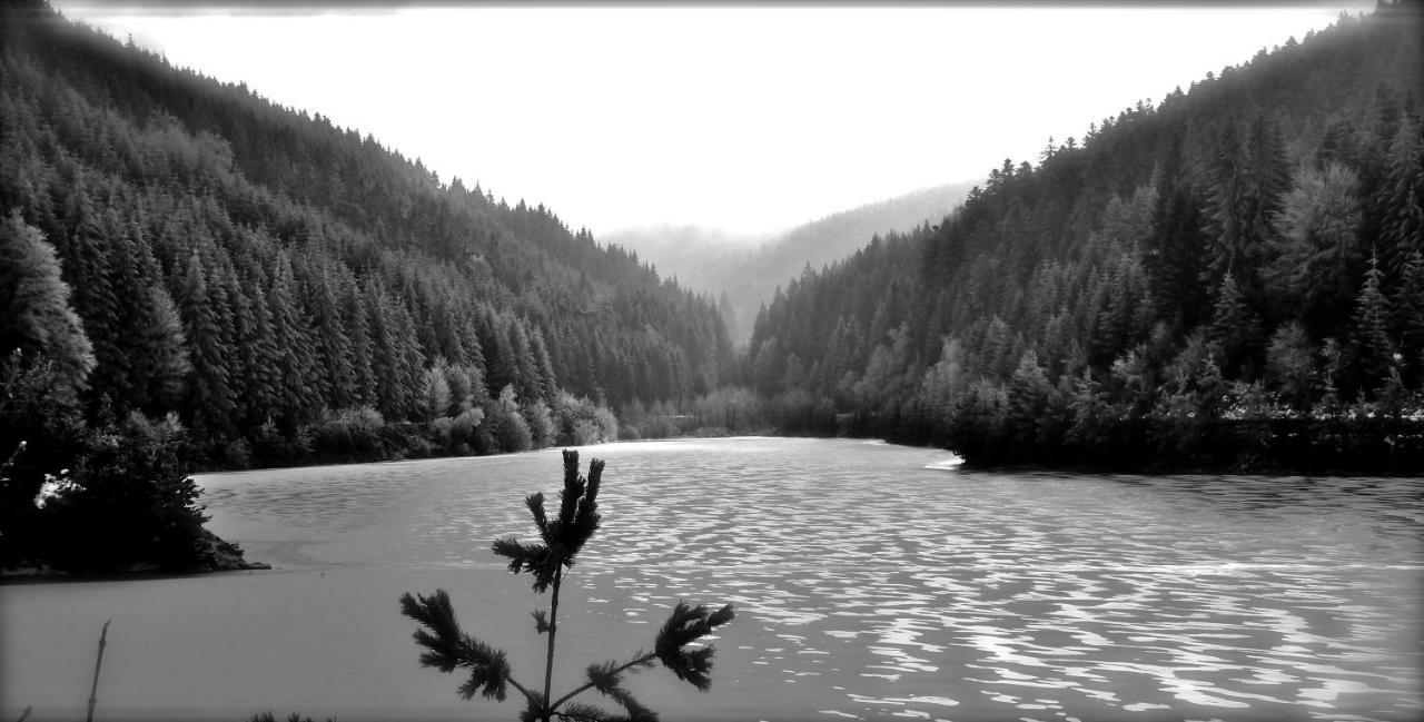 La Fortance Paradis Naturel - Proche De La Ville Planfoy Kültér fotó